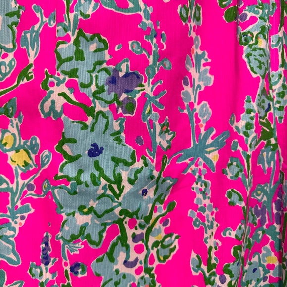 Rare   NWT Lilly Pulitzer Eaton Shift  Size 12 - Picture 9 of 10